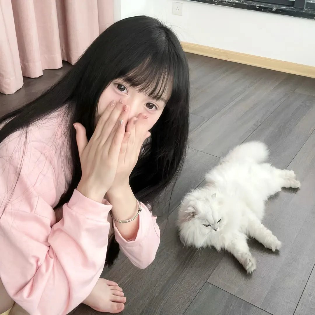鲨鱼杀手
